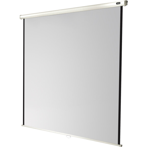 celexon Leinwand Rollo Economy 160 x 160 cm