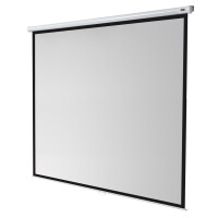 celexon Leinwand Rollo Economy 300 x 300 cm
