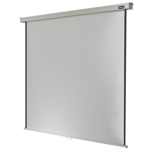 celexon Leinwand Rollo Professional 120 x 120 cm