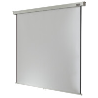 celexon Leinwand Rollo Professional 120 x 120 cm