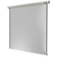 celexon Leinwand Rollo Professional 220 x 220 cm