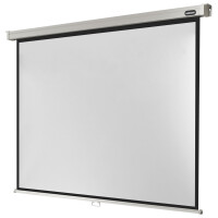 celexon Leinwand Rollo Professional 180 x 135 cm