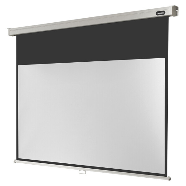 celexon Leinwand Rollo Professional 180 x 102 cm