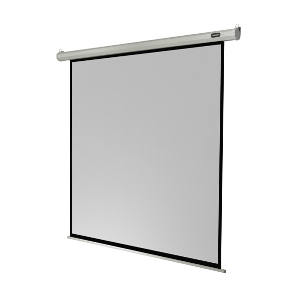 celexon Leinwand Motor Economy 200 x 200 cm
