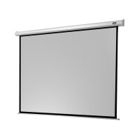 celexon Leinwand Motor Economy 280 x 210 cm