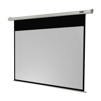 celexon Leinwand Motor Economy 200 x 113 cm