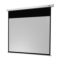 celexon Leinwand Motor Economy 280 x 158 cm