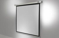 celexon Economy - 2900 x 1630 mm