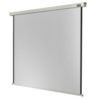 celexon Leinwand Motor Professional 220 x 220 cm