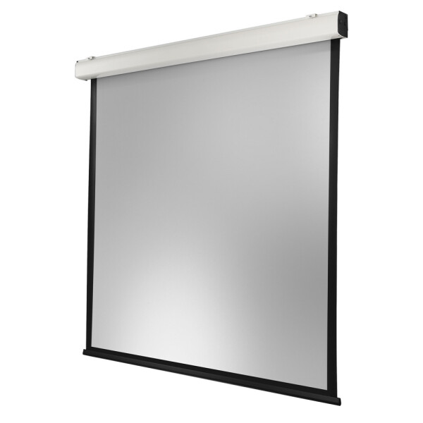 celexon Leinwand Motor Expert XL 300 x 300 cm