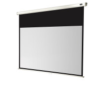celexon Leinwand Rollo Economy 200 x 113 cm