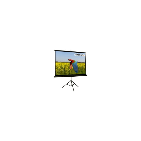celexon Economy tripod screen - Projektionsbildschirm mit Stativ - 166 cm ( 66 Zoll )