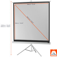 celexon Stativleinwand Economy 184 x 184 cm - White Edition