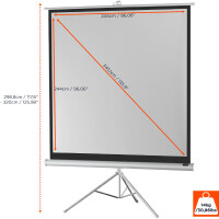 celexon Stativleinwand Economy 244 x 244 cm - White Edition