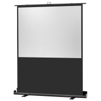celexon Leinwand Ultramobil Plus Professional 120 x 90 cm