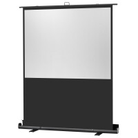 celexon Leinwand Ultramobil Plus Professional 120 x 68 cm