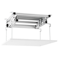 celexon Deckenlift PL300