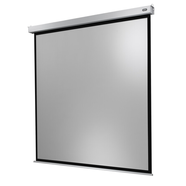celexon Leinwand Motor Professional Plus 120 x 120 cm