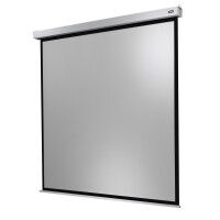 celexon Leinwand Motor Professional Plus 180 x 180 cm