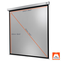 celexon Leinwand Rollo Professional Plus 220 x 220 cm