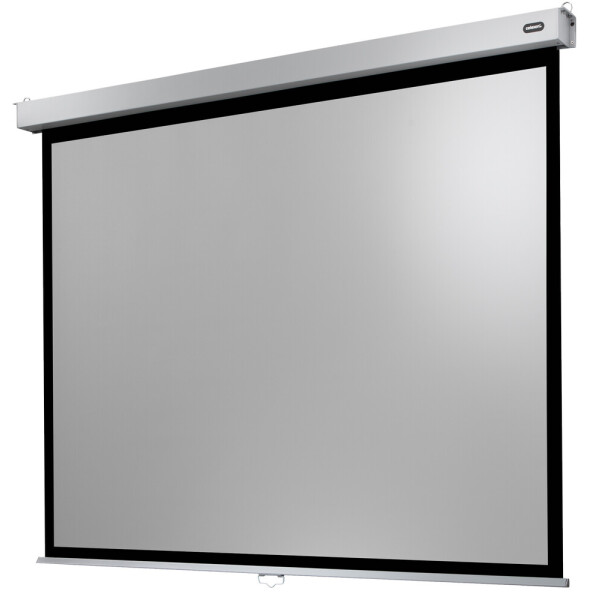 celexon Leinwand Rollo Professional Plus 220 x 165 cm