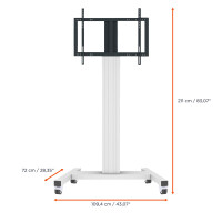 celexon Professional Plus Display-Rollwagen...