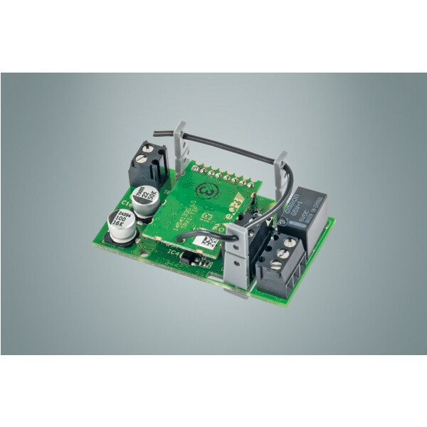 eQ-3 AG HmIP-PCBS - Grün - 28 mm - 21 mm - 48 mm - 13 g - 1 Stück(e)