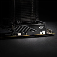 ADATA DIMM 16 GB DDR5-6000 schwarz AX5U6000C3016G-SLABBK XPG Lancer Blade INTEL XMP - 16 GB - DDR5