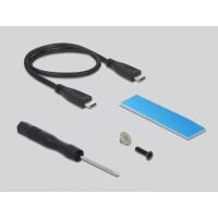 Delock 42000 - M.2 - M.2 - USB Anschluss - Schwarz