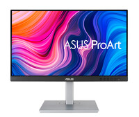 ASUS ProArt Pa247Cv - LED-Monitor - 24" - Flachbildschirm (TFT/LCD) - 60,5 cm