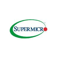 Supermicro Server ZUB AOC-A100G-b2CM