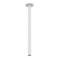 Kingston Ceiling Mount