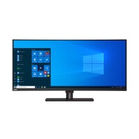 Lenovo ThinkVision P40w-20 - 100,8 cm (39.7 Zoll) - 5120...