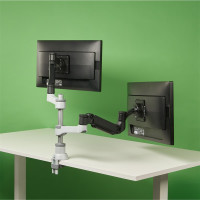 R-Go Caparo 4 R-Go D2 - nachhaltiger Doppel Monitor Arm -...