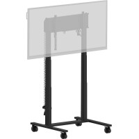 Iiyama ELECTRIC TWO-POST lift on