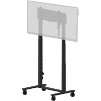 Iiyama ELECTRIC TWO-POST lift on