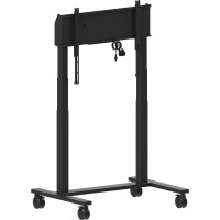 Iiyama ELECTRIC TWO-POST lift on