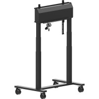 Iiyama ELECTRIC TWO-POST lift on