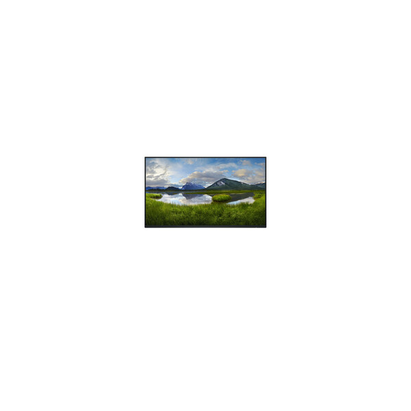 Dell 24 Monitor - P2425H without stand