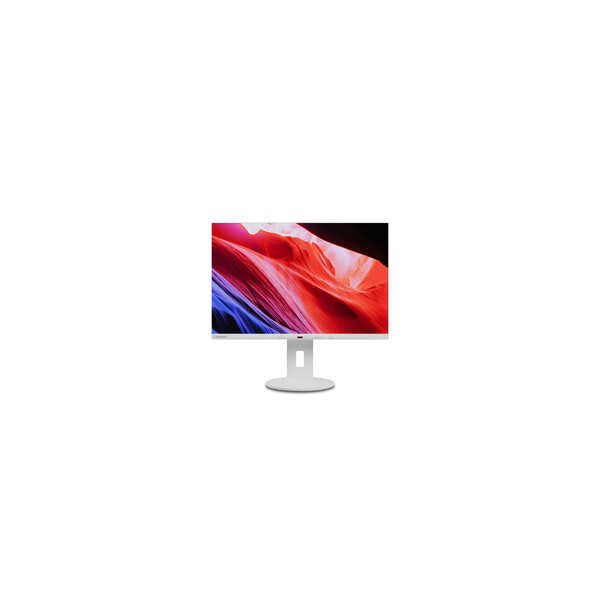 Lenovo C24d-20-IPS-16 10-2x2W-HDM DP VGA DVI-3Y - DVI