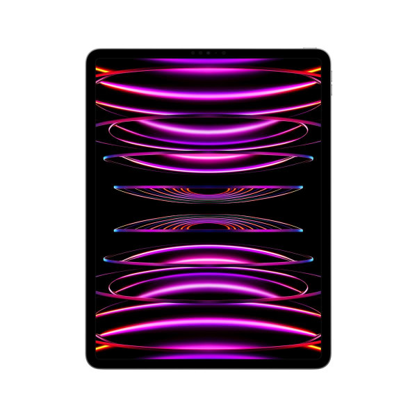 Apple iPad Pro 1.000 GB Grau - 12,9" Tablet - M2 32,8cm-Display