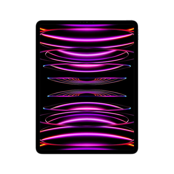 Apple iPad Pro 1.000 GB Grau - 12,9" Tablet - M2 32,8cm-Display