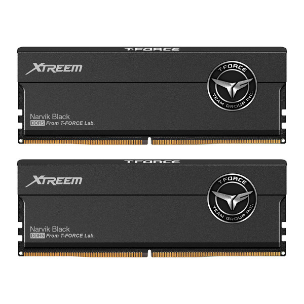 Team Group DIMM 32 GB DDR5-8000 2x 16 Dual-Kit schwarz FFXD532G8000HC38DDC01 XTREEM