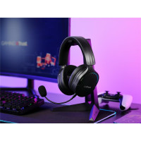 Trust GXT491 FAYZO Wireless Headset - Black