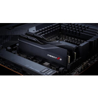 G.Skill Trident Z F5-8000J4048F24GX2-TZ5K, 48 GB, 2 x 24...