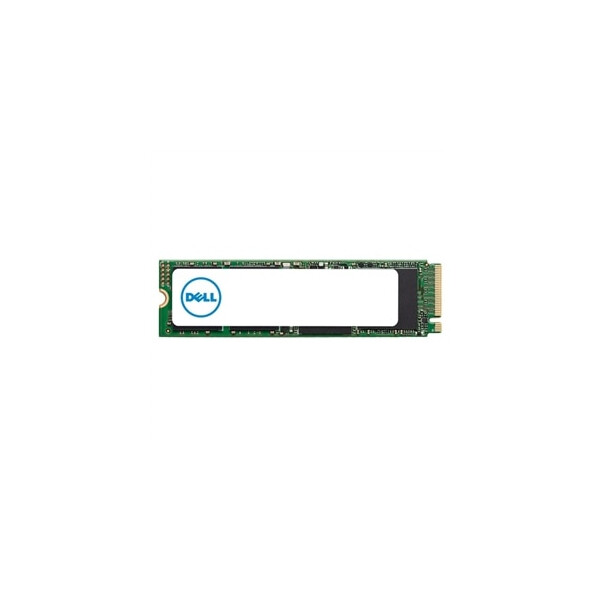 Dell AB292884, 1 TB, M.2