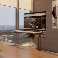 Lindy 40982, Laptop-Arm, Schwarz, Metall, 30 cm (11.8"), 43,9 cm (17.3"), 10 kg