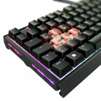 Cherry XTRFY MX 3.1, Kabelgebunden, USB, Mechanischer Switch, QWERTZ, RGB-LED, Schwarz