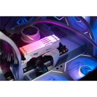 Kingston FURY Beast 64 GB 5600 MT/s DDR5 CL36 DIMM...
