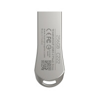 Team Group C222, 256 GB, USB Typ-A, 3.2 Gen 1 (3.1 Gen...